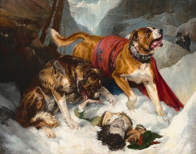Edwin Landseer, Alpine Mastiffs Reanimating a Distressed Traveler, 1820, two powerful dogs rescuing a man in the snow.