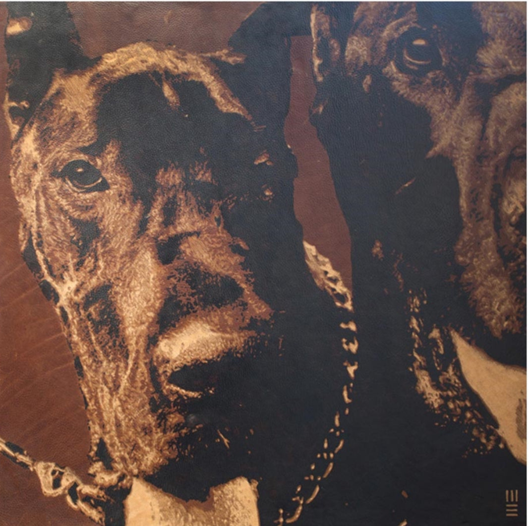 The Dogs