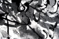 Ink Abstract Nº 1